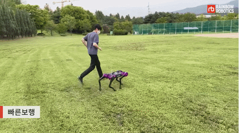 Insight_video giphyupload GIF