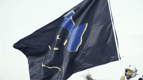 Womens Football Flag GIF by Women's National Football Conference