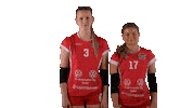 Sport Volleyball Sticker by LP Viesti
