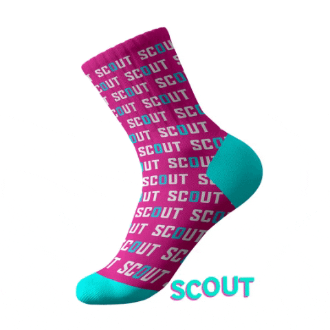 Socks Worksocks GIF by Scout Marketing