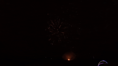 hlansford giphyupload GIF