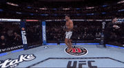 Mixed Martial Arts Sport GIF by UFC