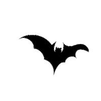 Bat Flying Halloween Sticker by Mallory Ervin