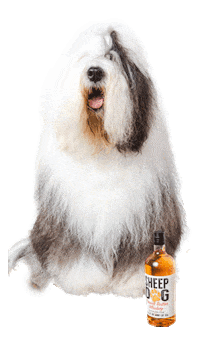 sheepdogau drink whiskey sheep dog mutts nuts Sticker