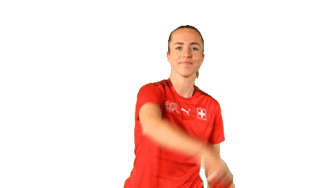 Flag Switzerland Sticker by Swiss Football Association