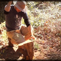 Baseball Hanging GIF by Four Rest Films