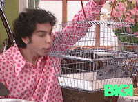 Silly GIF by BIGI_TV