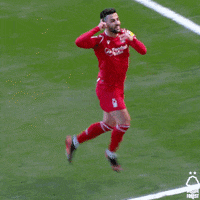 Happy Football GIF by Nottingham Forest