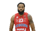 Basketball Hoops Sticker by Basket_fi