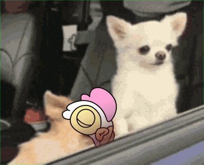 Waking Up What GIF by doodles