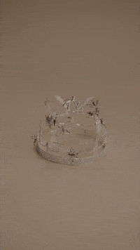 spider you should see me in a crown GIF by Interscope Records