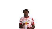 Football What Sticker by RB Leipzig