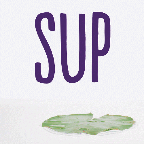 Video gif. Orange frog flies through the air and lands perfectly on a lily pad floating on water. Text, “Sup.”