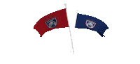 Johor2 Sticker by Johor Southern Tigers
