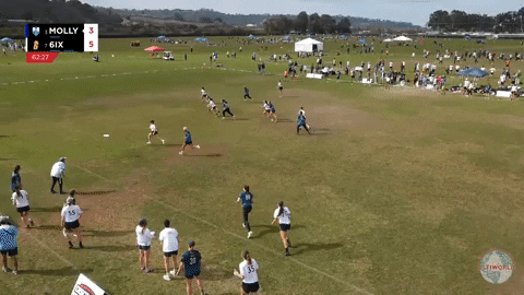 flikulti ultimate frisbee flik GIF