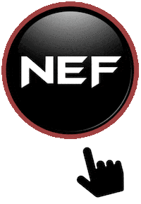 Mixed Martial Arts Mma Sticker by NEFights