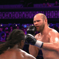 Knock Out Fighting GIF by Premier Boxing Champions