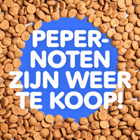 GIF by VakantieVeilingen