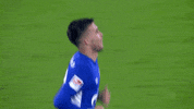 Happy Football GIF by FC Schalke 04