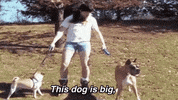 dog GIF by The Ed Bassmaster Show