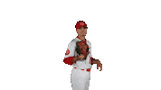 Pitcher Homerun Sticker by Winnipeg Goldeyes Baseball Club
