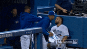 towel morales GIF by MLB