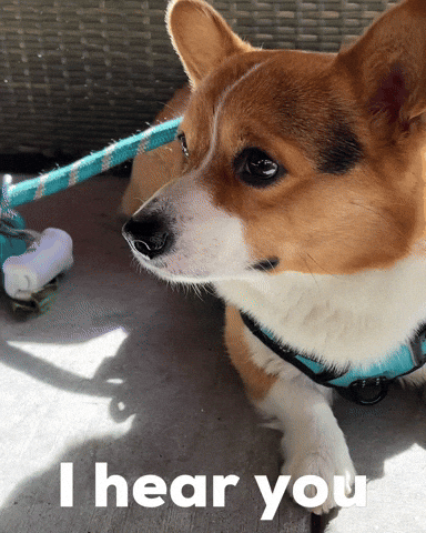 I Hear You GIF