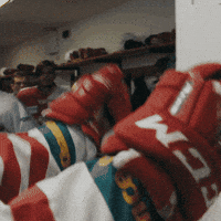 Angry Hokej GIF by Seznam.cz