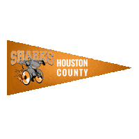 High School Basketball Sticker by GPB Sports