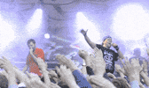 sindikatas sindikatas GIF