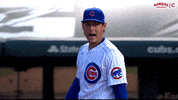 Cubs Rizzo GIF by Marquee Sports Network