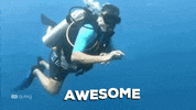 Scuba Wow GIF by Quixy