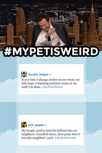 jimmy fallon pets GIF by The Tonight Show Starring Jimmy Fallon