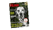 Dalmatian Sticker by DER HUND - das Magazin