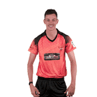 sunriserseasterncape cricket marco sec sunrisers Sticker