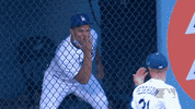 Regular Season Reaction GIF by MLB