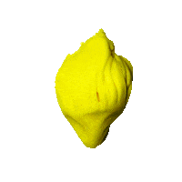 Flower Bloom Sticker