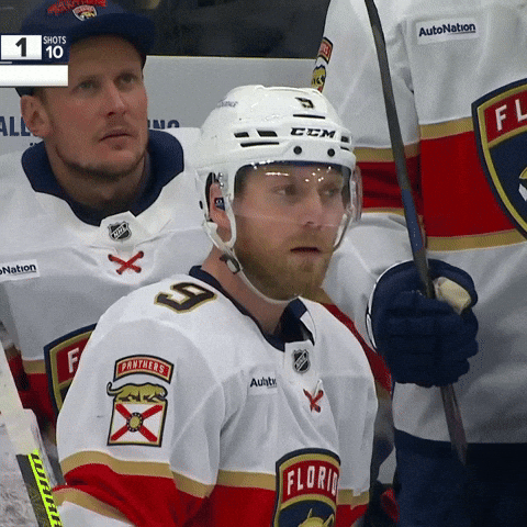 Excuse Me What GIF by Florida Panthers