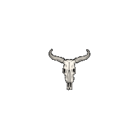 country bull Sticker by Bloodshot Records