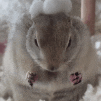 Menacing GIF