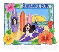 sallylongdog dog basset hound basset dog rescue Sticker