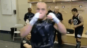 ufc 205 GIF