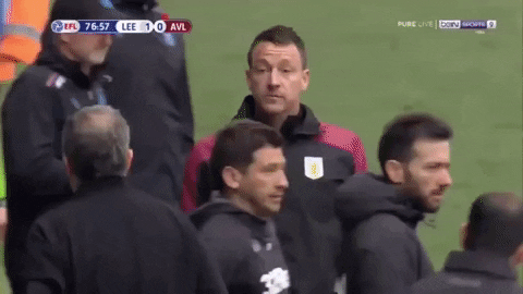 werner_the_ferret giphyupload villa leeds aston villa GIF