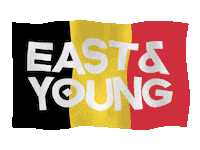 Flag Belgium Sticker by East & Young