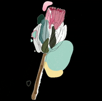Daril love happy pink green GIF
