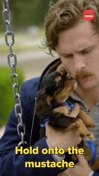 Hold Onto The Mustache For Safety