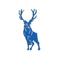 bishopmiegecatholichighschool stag stags miege bishopmiege Sticker