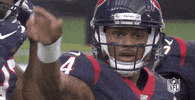 2019 Nfl Football GIF by NFL