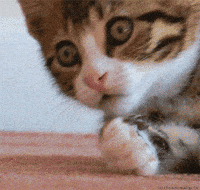 mom friend GIF