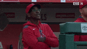 Los Angeles Angels Yes GIF by MLB